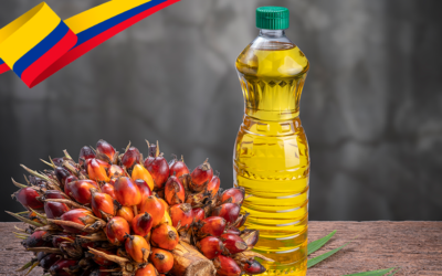 ¿Cómo Colombia se convirtió en la potencia del aceite de palma de América Latina?