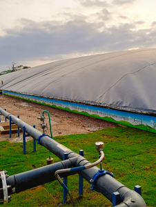 Biogás energía limpia y renovable