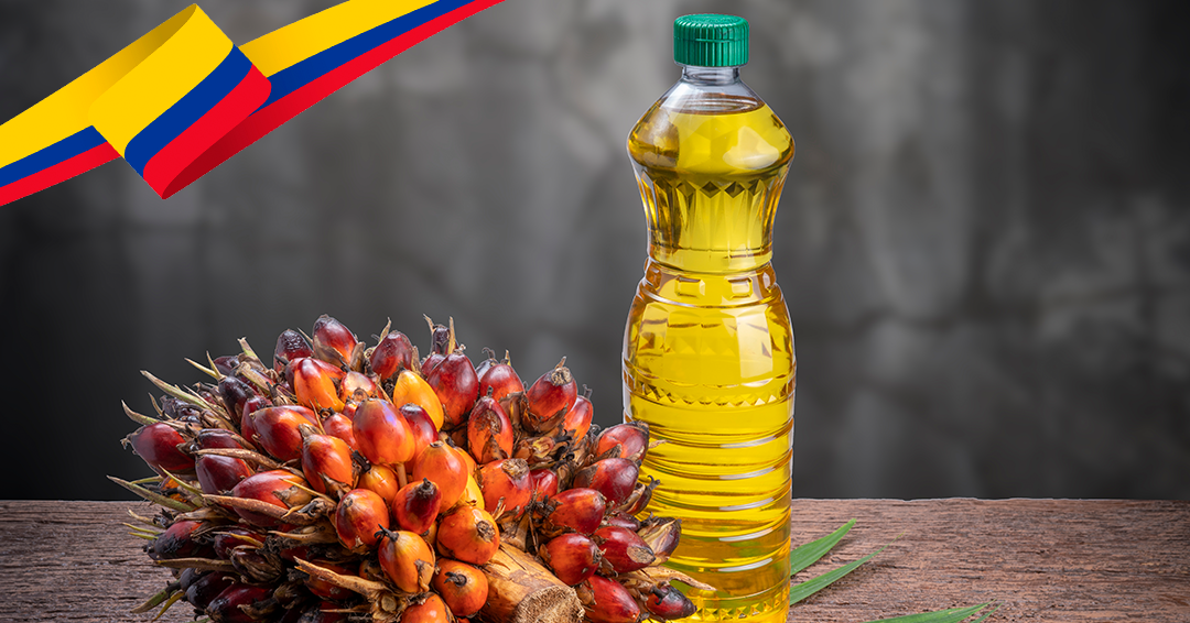 ¿Cómo Colombia se convirtió en la potencia del aceite de palma de América Latina?